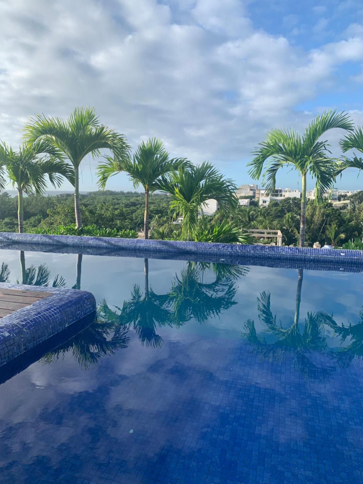 Family Apartments Near Beach Polo88 Playa del Carmen Eksteriør bilde