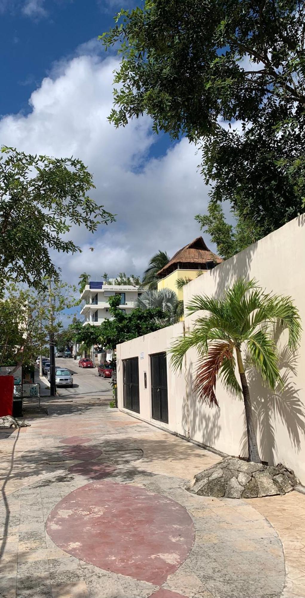 Family Apartments Near Beach Polo88 Playa del Carmen Eksteriør bilde